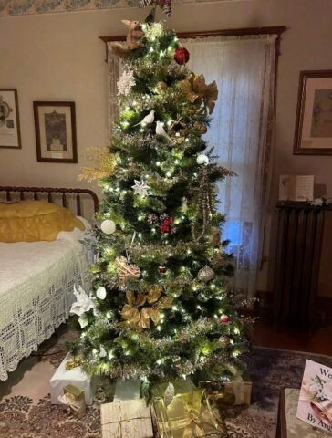 2025treeswweddinroom